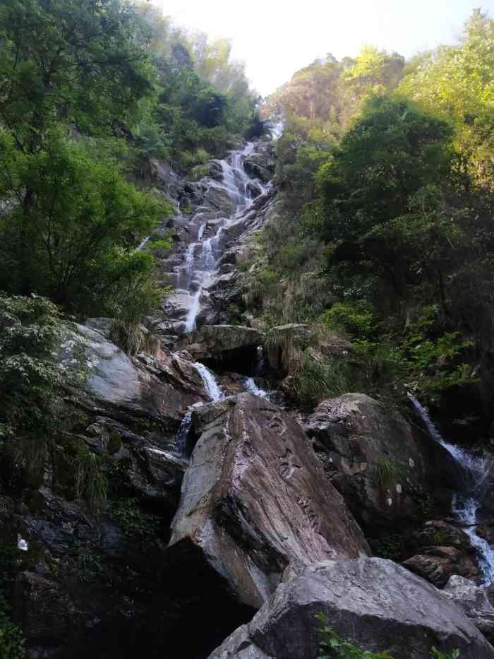 庐山莲花洞文旅小镇(莲花洞)-"这个莲花洞森林公园很多人自驾前来游玩
