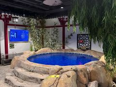 -圣和汤泉•汗蒸温泉自助
