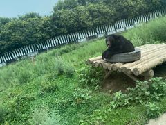 -西安秦岭野生动物园