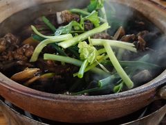 -霞姐屯昌枫木香草鸭店(海螺店)