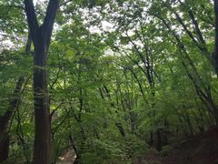 -丹东凤凰山景区