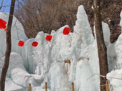 -陕西省红河谷森林公园