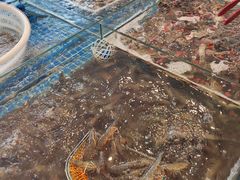 -春华海鲜城(广场西苑店)