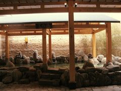 -汤里来温泉
