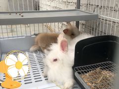 -小意思咖啡店(草桥店)
