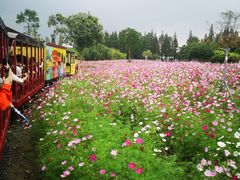 -歌斐颂巧克力小镇