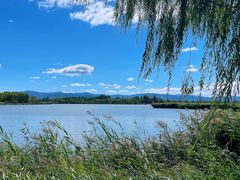 -野鸭湖国家湿地公园