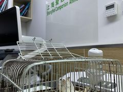 -爱侣宠医·鹦鹉专科·小型哺乳类·异宠专科(灵石路店)