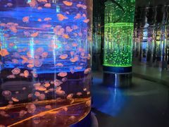 -石家庄海洋公园