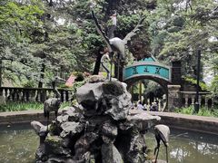 -莫干山风景区