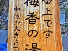 -滨千鸟之汤 海舟
