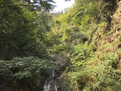 -东天目山风景区