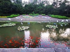 -中山公园