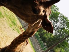 -石家庄市动物园