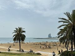 -小巴塞罗那海滩