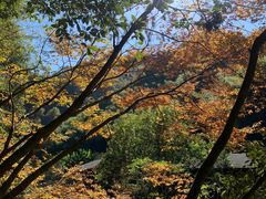 -丹山赤水风景名胜区