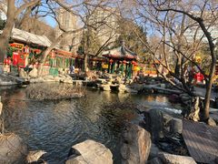 -白家大院·王府宫廷菜(苏州街店)