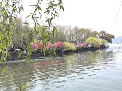 -杭州香格里拉·香宫中餐厅