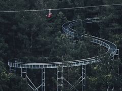 -福道