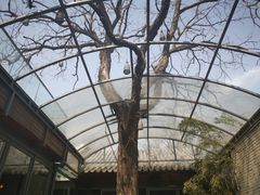 -zarah(鼓楼店)