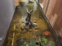 -邈墨茶馆(凤起路店)