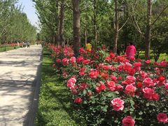 -迎泽公园