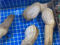 -韩家墅海吉星农产品批发市场