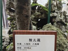 -东山雕花楼