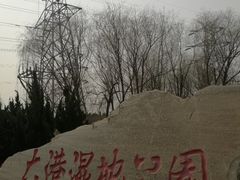-大港湿地公园