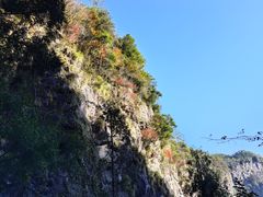 -刘伯温故里景区百丈漈