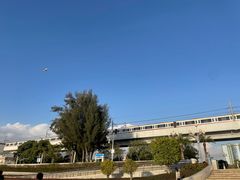 -宝安西湾红树林湿地公园