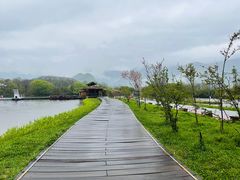-大九湖