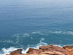 -广东惠东海龟国家级自然保护区