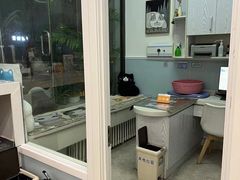 -纳吉亚猫专科动物医院·北北分院