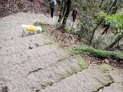 -北高峰