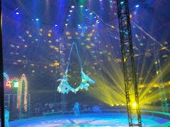 -鄂尔多斯野生动物园