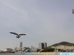 -黑石礁公园
