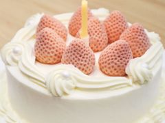 -壹点壹客·生日蛋糕(南山店)