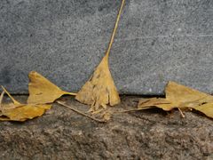 -无锡惠山寺