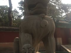 -普乐寺
