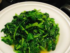 清香豌豆尖-甄御•海鲜新青岛菜(麦岛店)