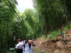 -藏龙百瀑风景区