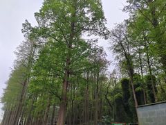 -上海月湖雕塑公园