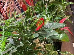 -半秋山西餐厅(巴南万达广场店)