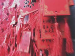 -关林