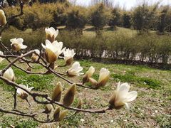 -共青国家森林公园-售票处