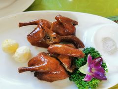 红烧乳鸽-台山美食一绝阿四台山黄鳝饭(阿四创作店)