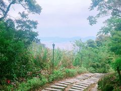 -阳台山森林公园