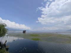 -大理洱海