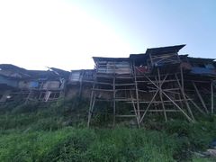 -菜园坝水果市场